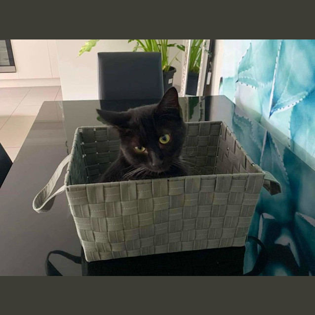 Photo of Sergio 🖤