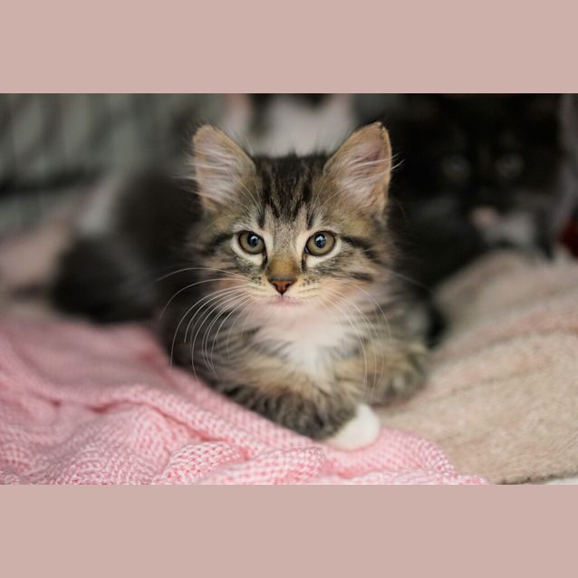 Photo of Gretchen