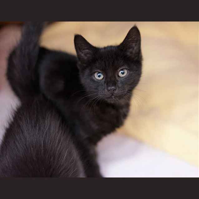 Photo of Jasper