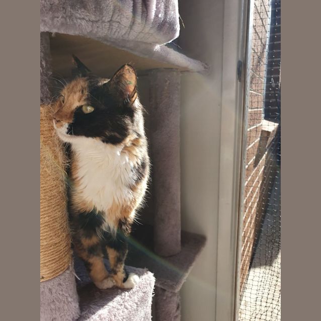 Photo of Whitney