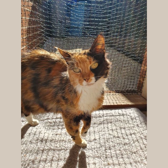 Photo of Whitney