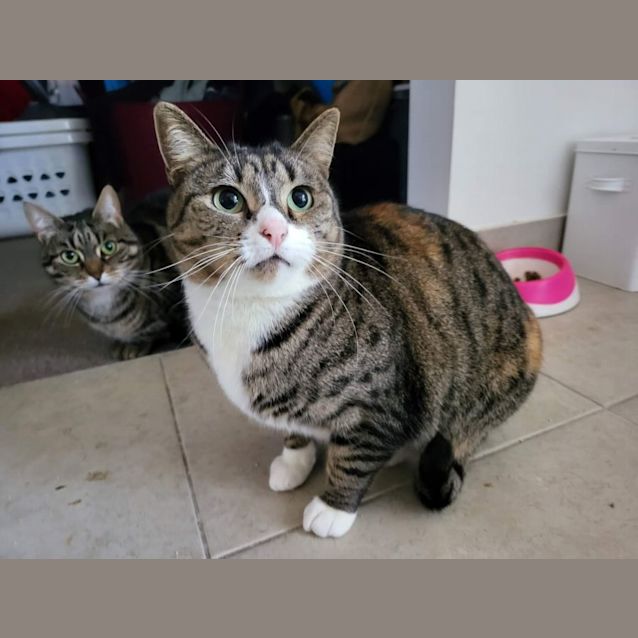 Photo of Penny & Gaia 🌹🌹