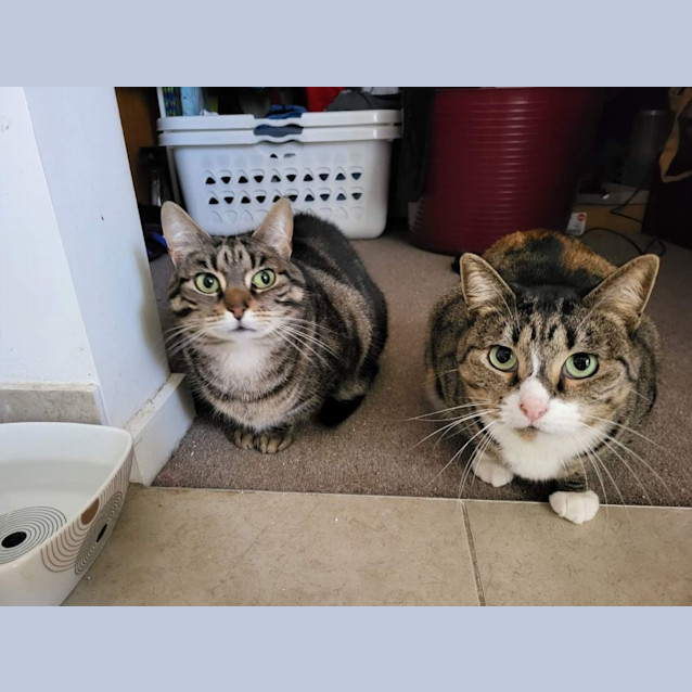 Photo of Penny & Gaia 🌹🌹