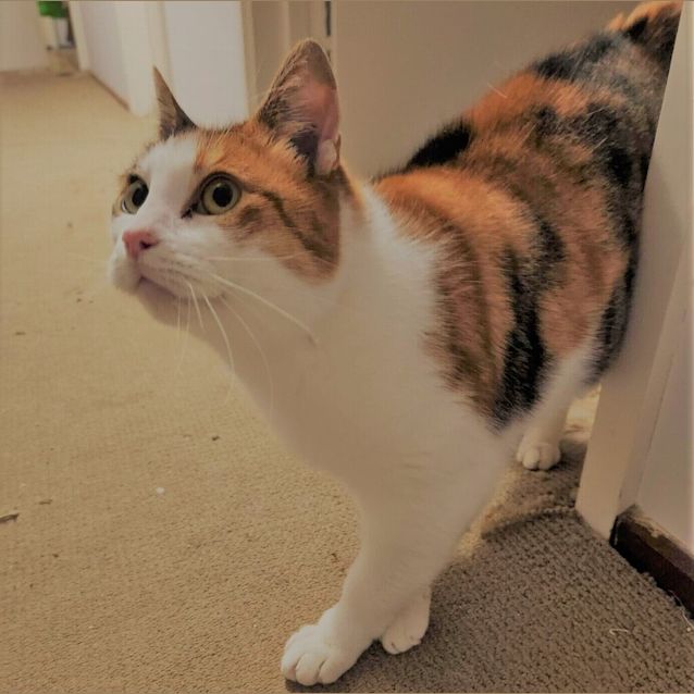 Photo of Elsie