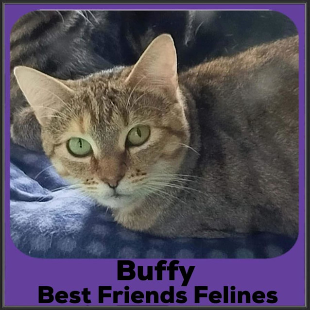 Photo of Buffy 