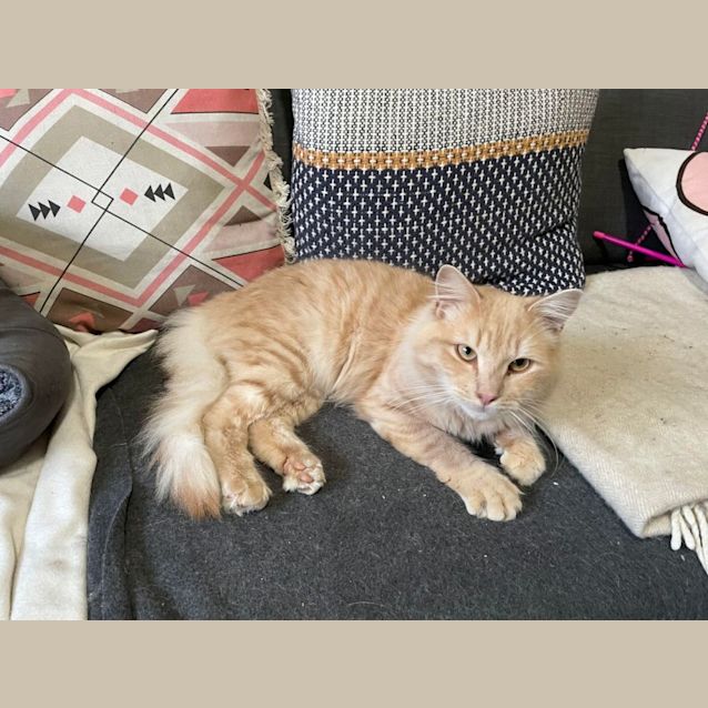 Photo of Marty   Located In East Bentleigh