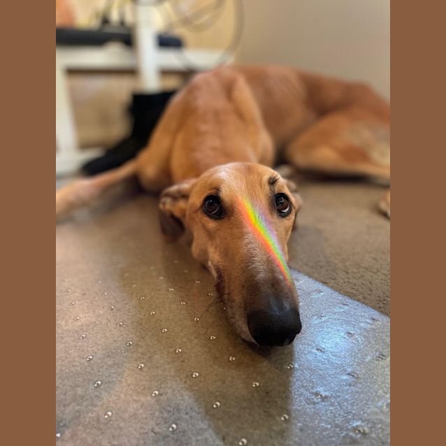 Photo of Clyde