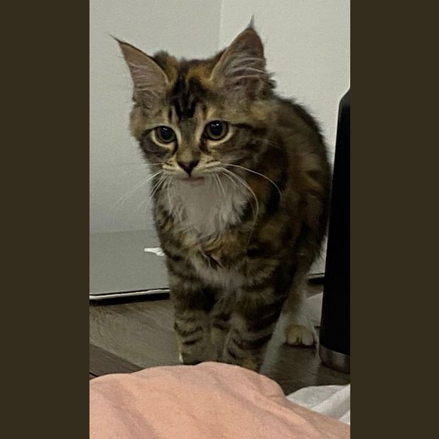 Photo of Zoe