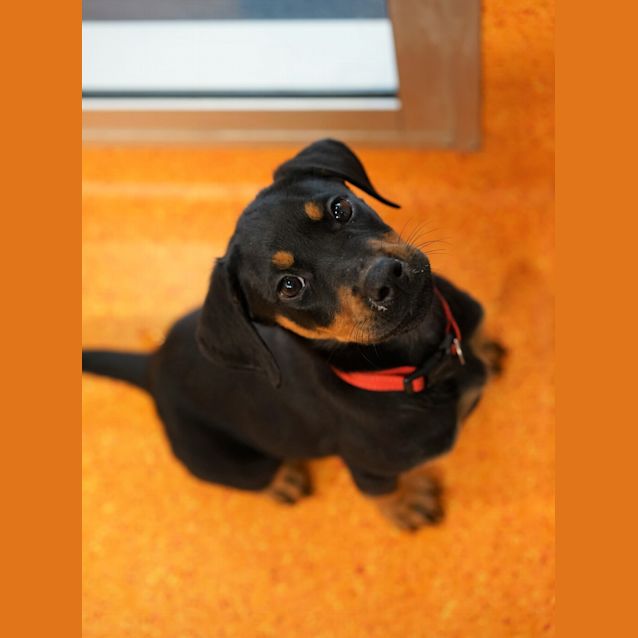 Photo of Betty