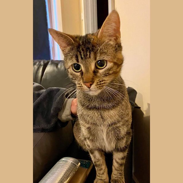 Photo of Lily