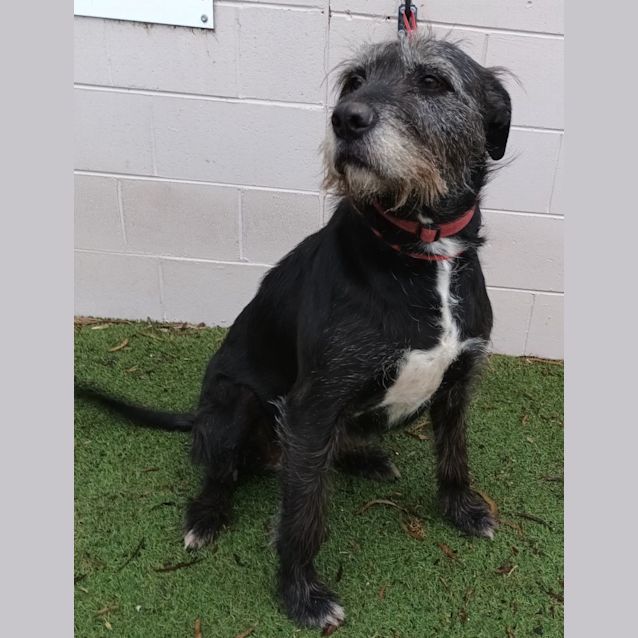 Photo of 22/23 005 Rey