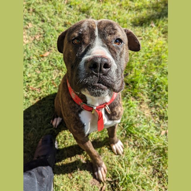 Photo of Coco 