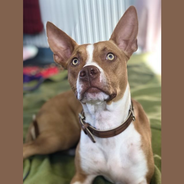 Photo of Skip