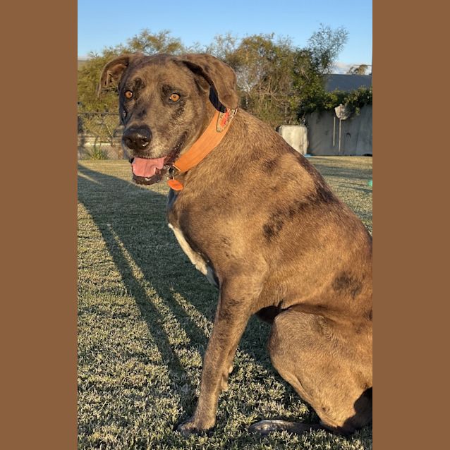 Photo of Madame Boo