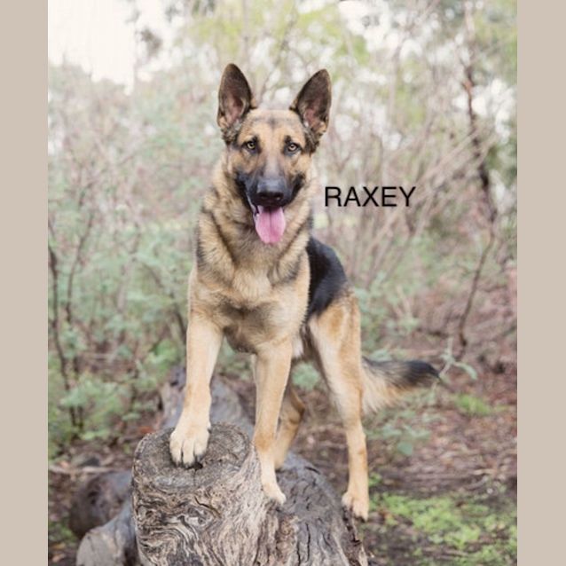 Photo of Karla And Raxey