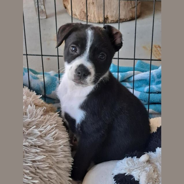 Photo of Bree