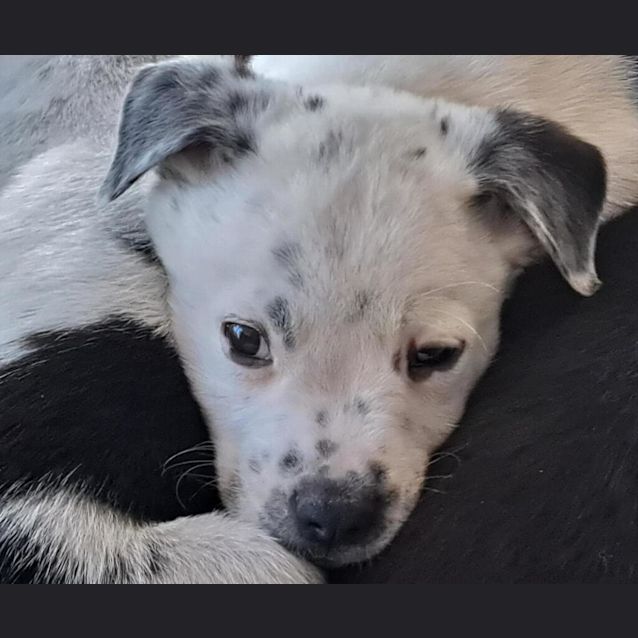 Photo of Arthur