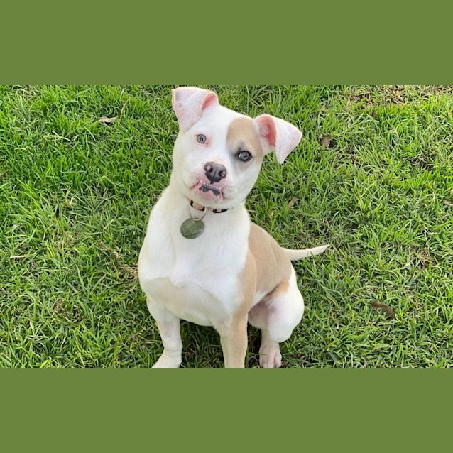Photo of Wally
