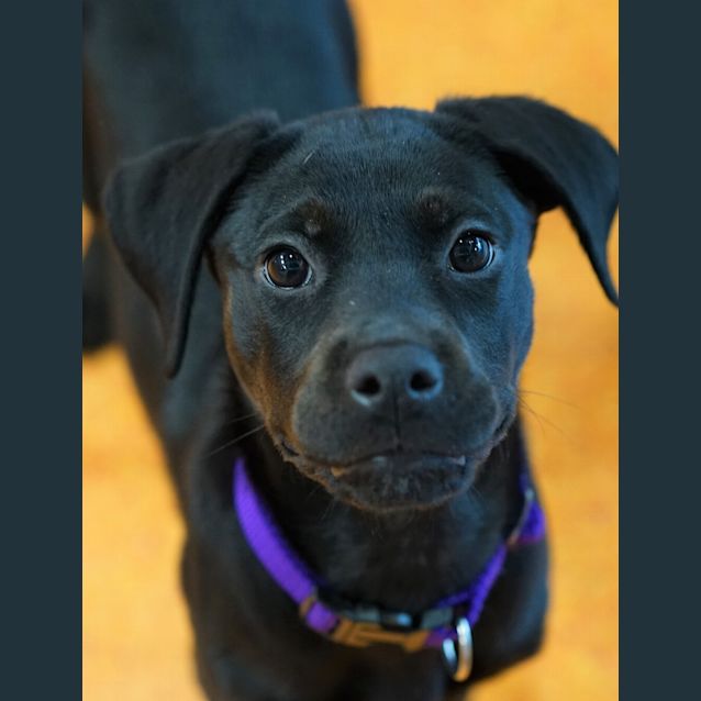 Photo of Bernie