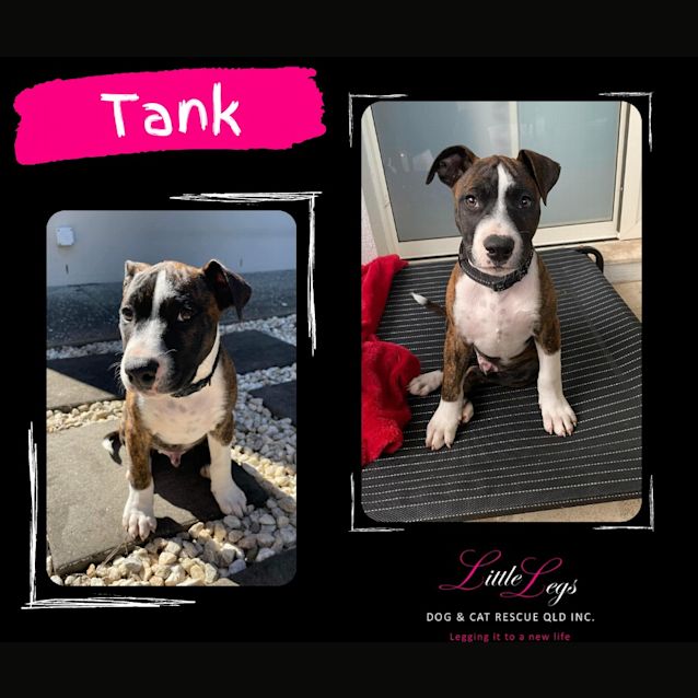 Photo of Tank