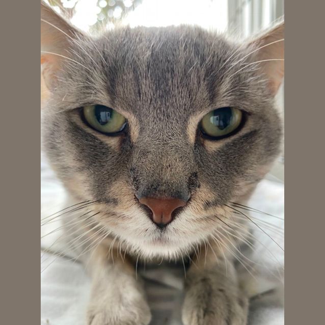 Photo of Button 