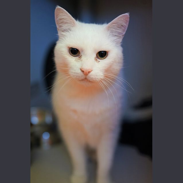 Photo of Hudson