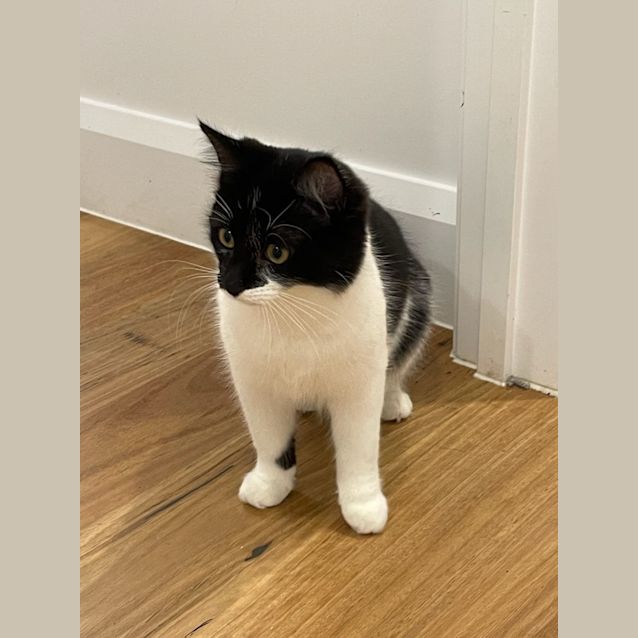 Photo of Posh Spice 💖