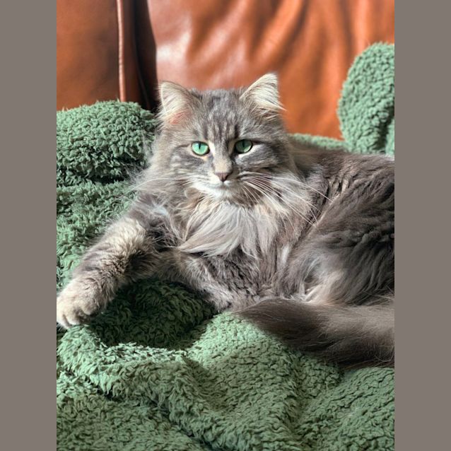 Photo of Maya
