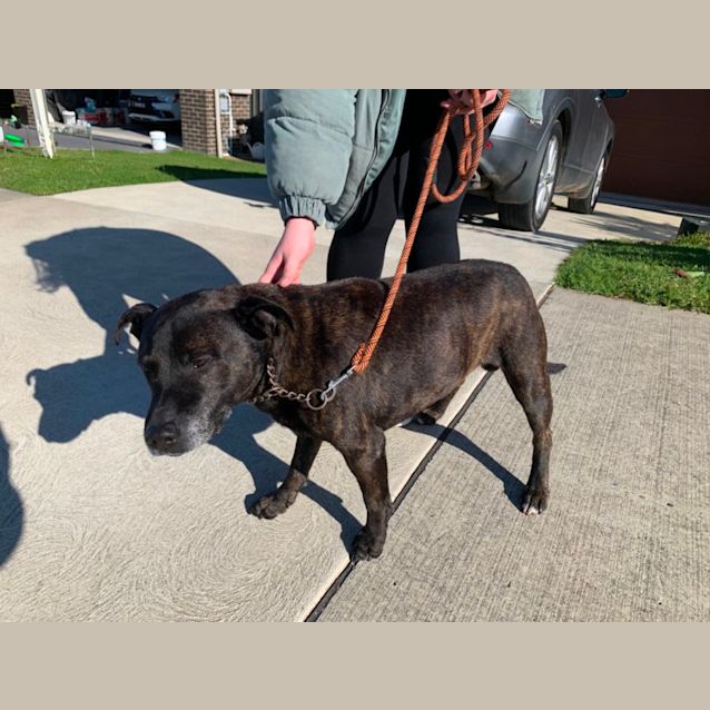 Photo of Buddy