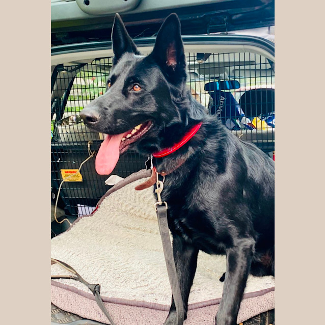 Photo of Jet