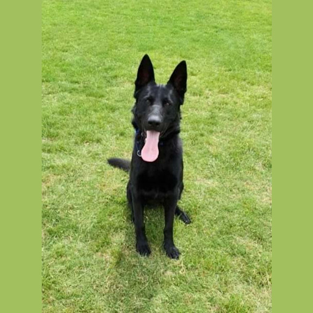 Photo of Jet