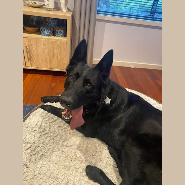 Photo of Jet