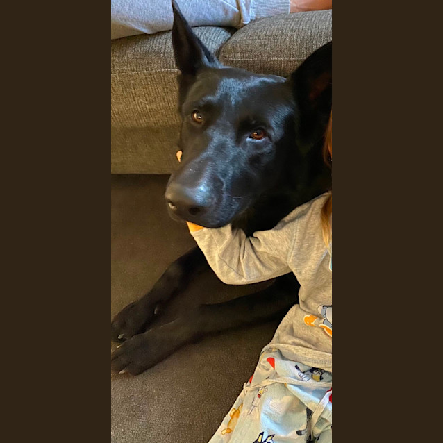 Photo of Jet