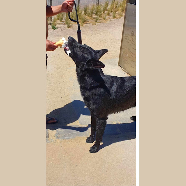 Photo of Jet