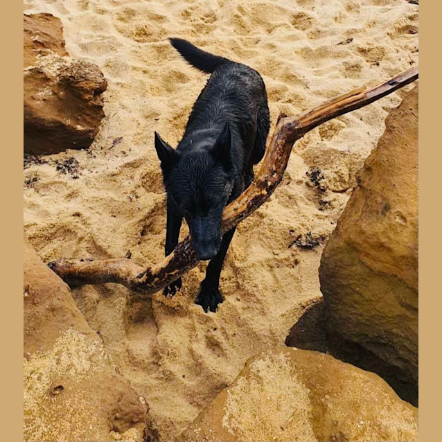 Photo of Jet