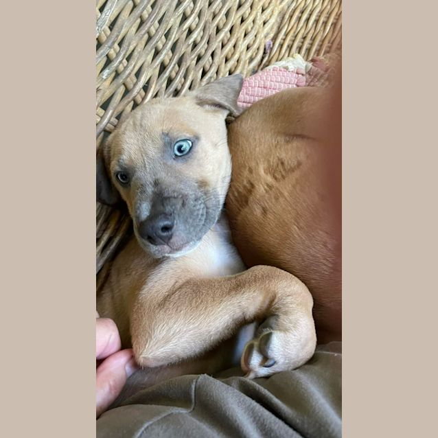 Photo of Zeus