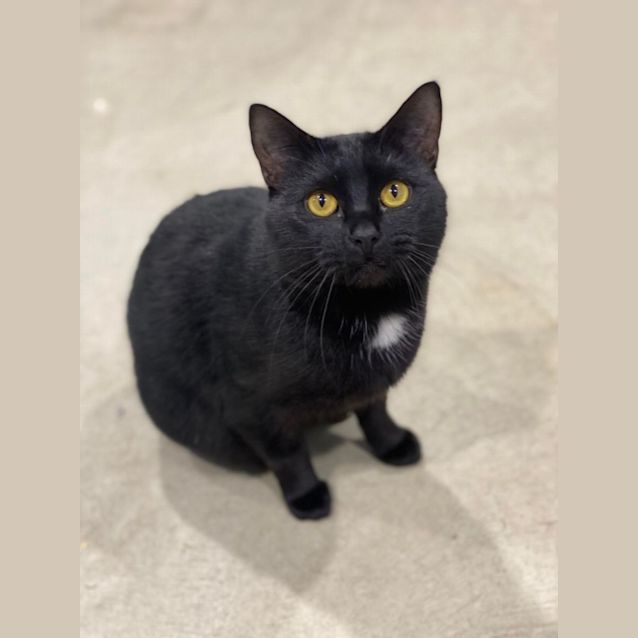 Photo of Stanley