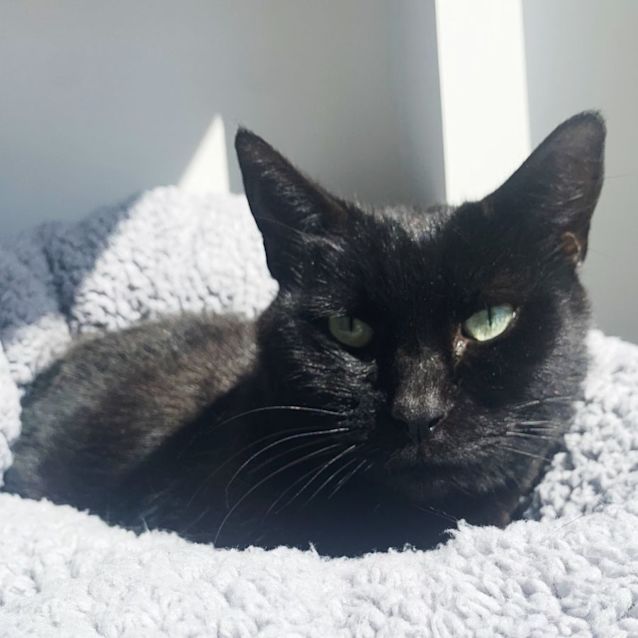 Photo of Tino Rsta009497