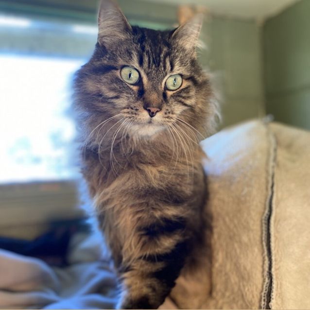 Photo of Theodore