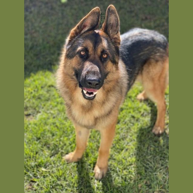 Photo of Sam