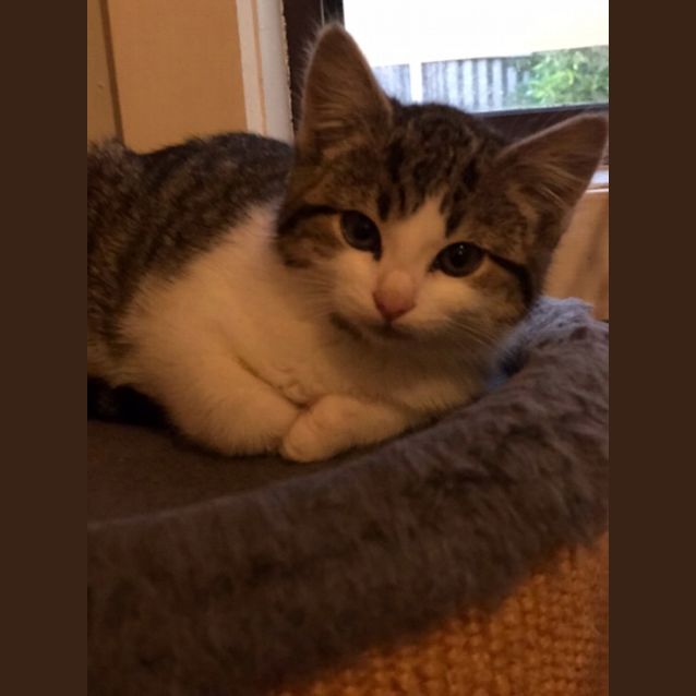 Photo of Chloe   Located In Preston