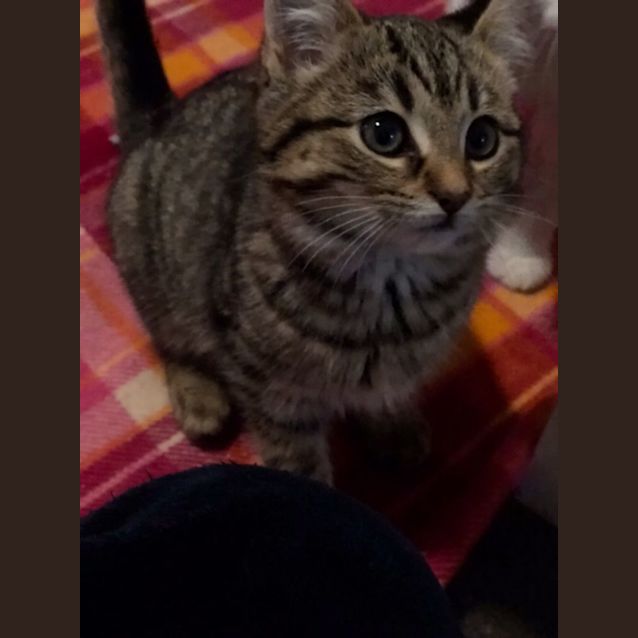 Photo of Alice   Located In Preston