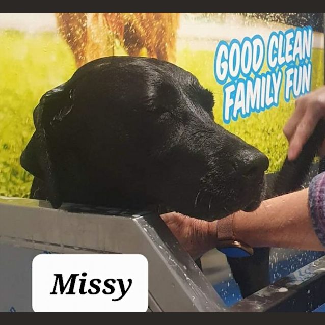 Photo of Missy