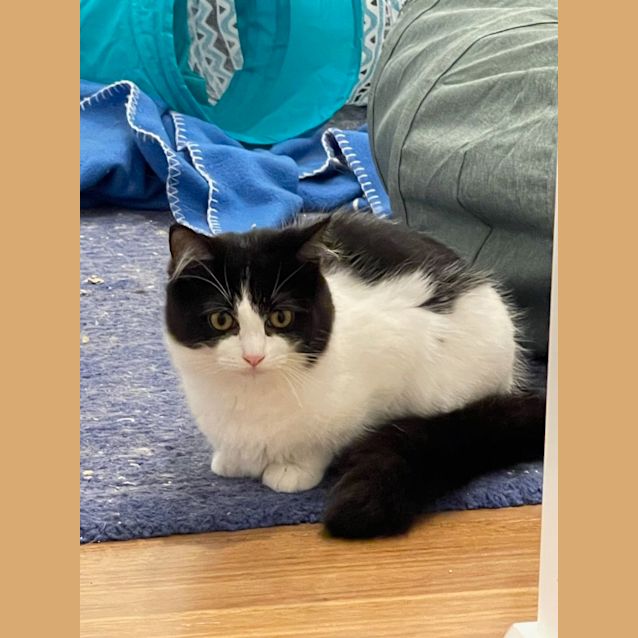 Photo of Baby Spice & Mumma Izzy 🌸🌺