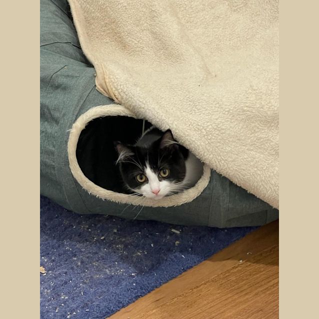 Photo of Baby Spice & Mumma Izzy 🌸🌺