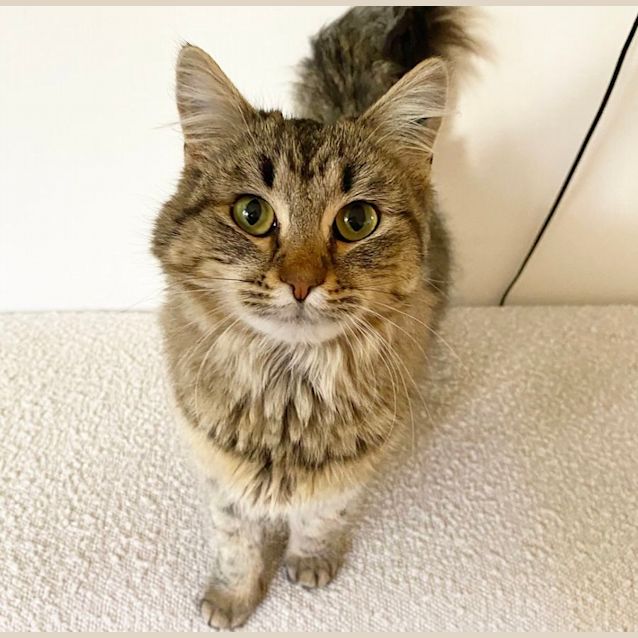Photo of Crumpet 