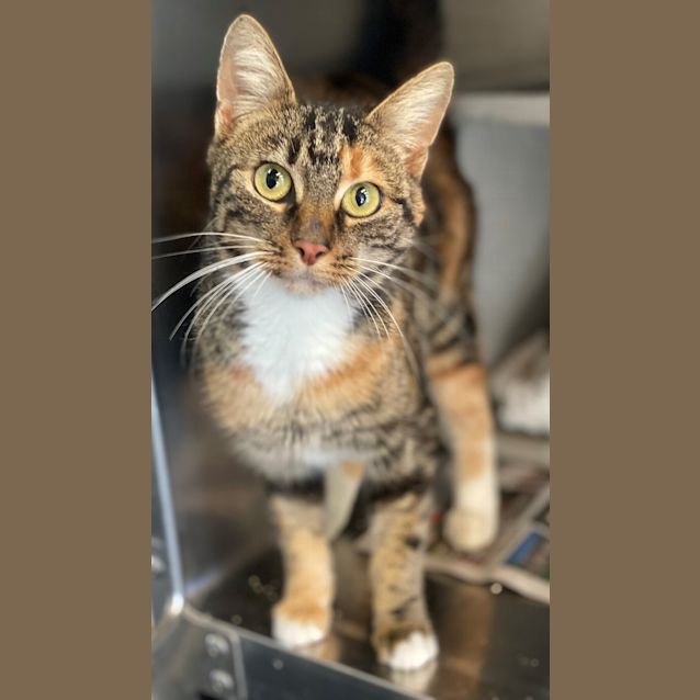 Photo of Maybel