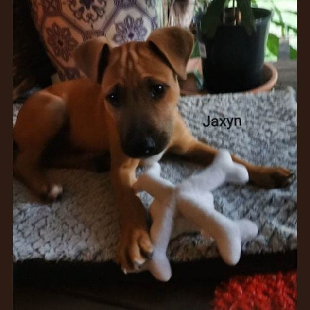 Photo of Jaxyn