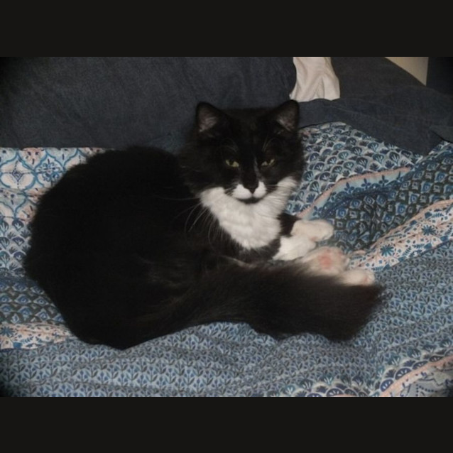 Photo of Moe 💓😻💓