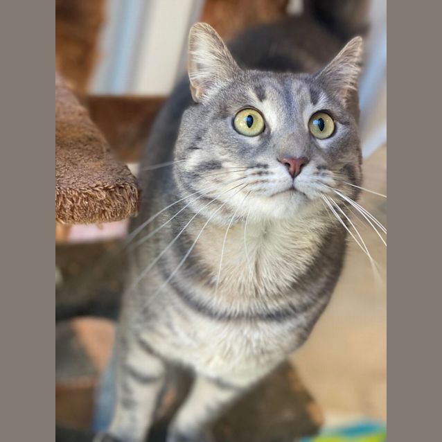 Photo of Sandy